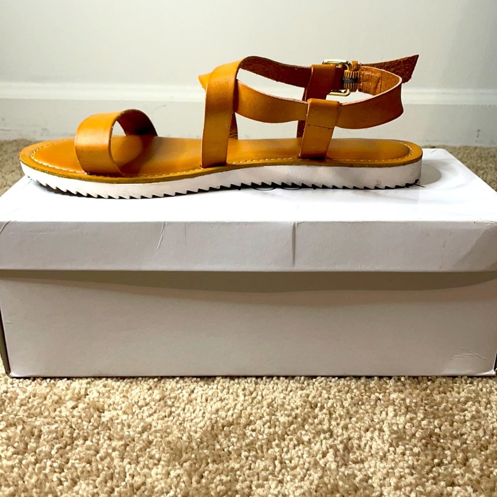 Report Shoes
